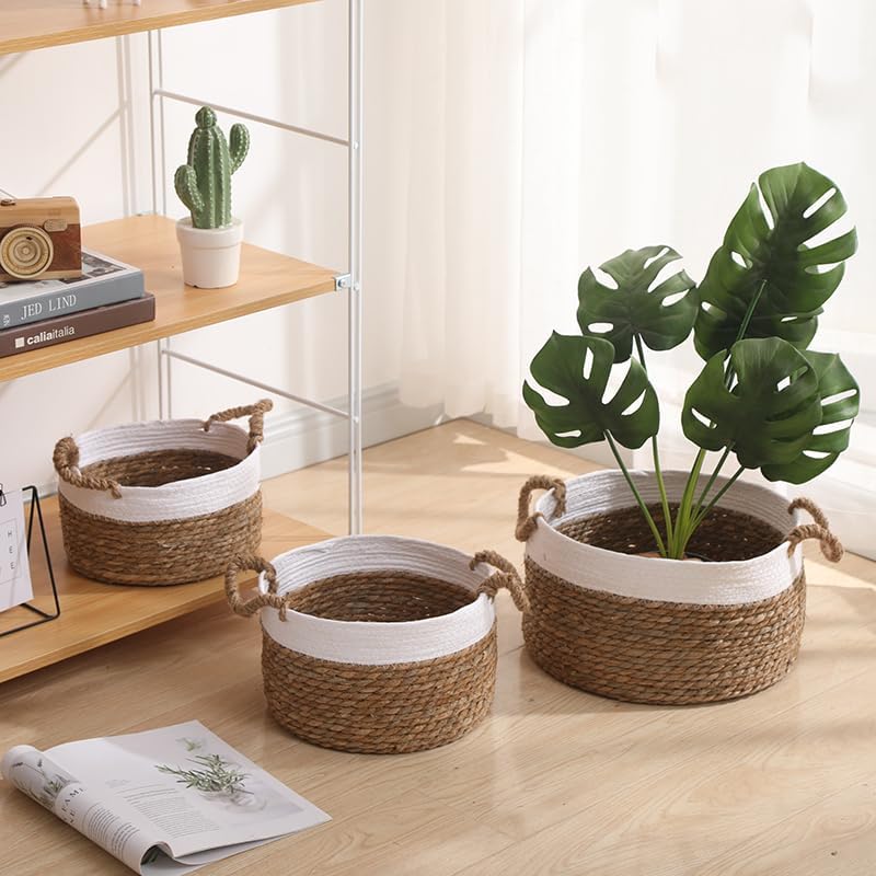 Set 3 Ceste tondi con manici realizzati in paglia Naturale e corda di Cotone intrecciata Bianco