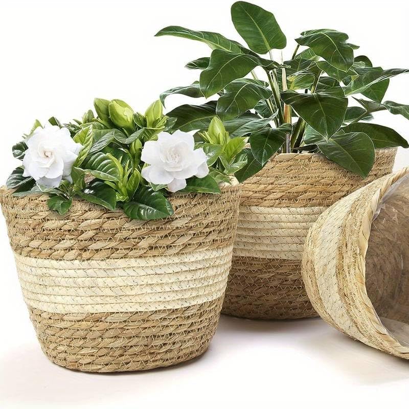 Set 3 Ceste (Large +Medium +Small) paglia intrecciata e corda di cotone +rivestimento interno in plastica .